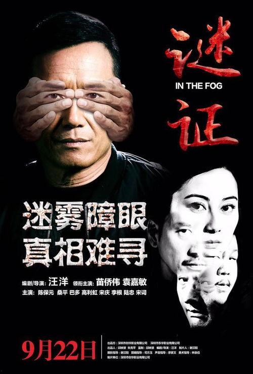 谜证电影 在线观看,在线观看，揭秘悬疑世界